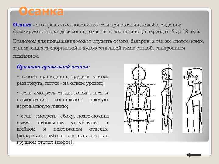 Осанка - это привычное положение тела при стоянии, ходьбе, сидении; формируется в процессе Осанка - это привычное положение тела при стоянии, ходьбе, сидении; формируется в процессе