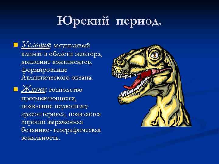     Юрский период. n  Условия: засушливый климат в области экватора,