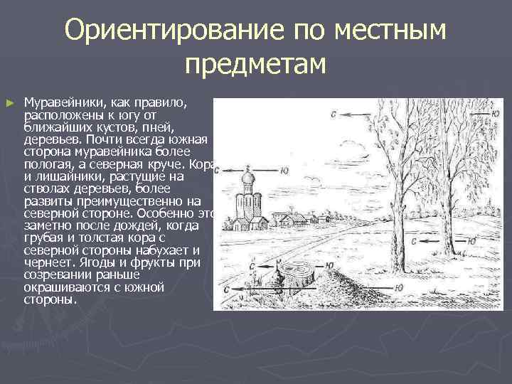 Ориентирование на местности по местным признакам презентация