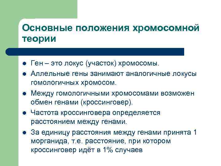Основные положения хромосомной теории l  Ген – это локус (участок) хромосомы. l 