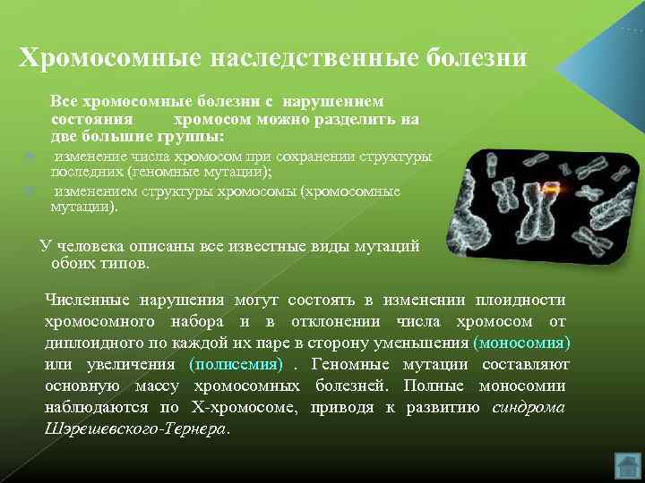 Хромосомные наследственные болезни Все хромосомные болезни с нарушением состояния хромосом можно разделить на две
