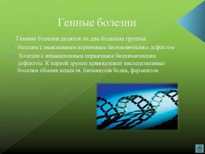    Генные болезни делятся на две большие группы: болезни с выясненным первичным
