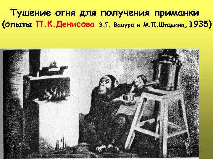  Тушение огня для получения приманки (опыты П. К. Денисова Э. Г. Вацуро и
