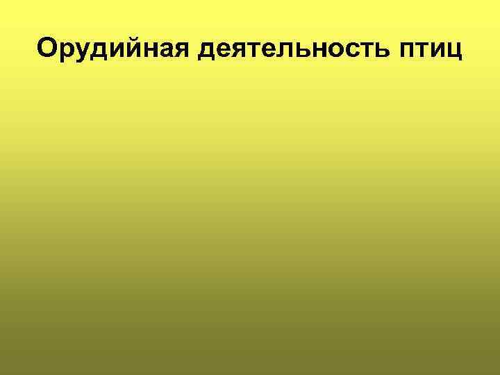 Орудийная деятельность птиц 