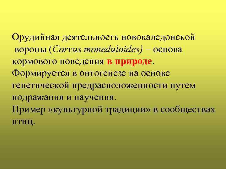 Орудийная деятельность новокаледонской вороны (Corvus moneduloides) – основа кормового поведения в природе. Формируется в