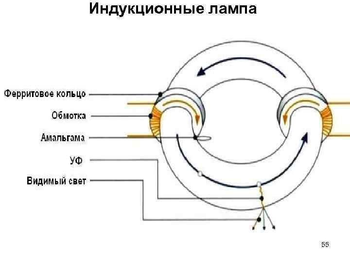 Индукционные лампа 55 Индукционные лампа 55