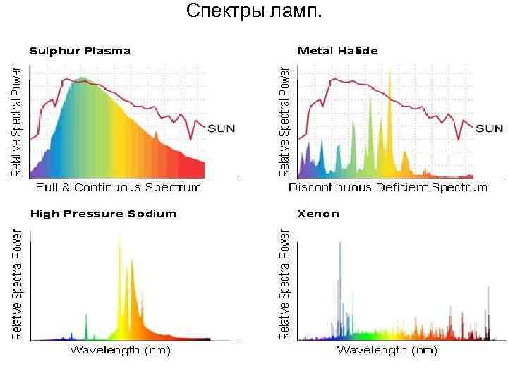 Спектр излучения ксенона. Спектр излучения ксеноновой лампы. Спектр ксеноновой лампы автомобильной. Ксенон спектр излучения линейчатый. Спектр дуговых ксеноновых ламп.