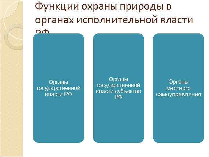 Функции охраны природы в органах исполнительной власти РФ     Органы 