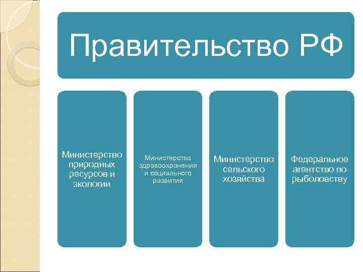  Правительство РФ  Министерство  Федеральное природных здравоохранения     