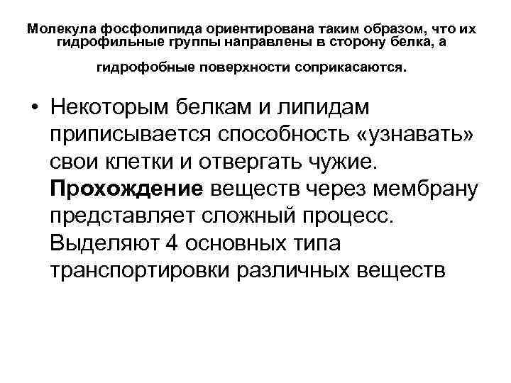 Молекула фосфолипида ориентирована таким образом, что их  гидрофильные группы направлены в сторону белка,