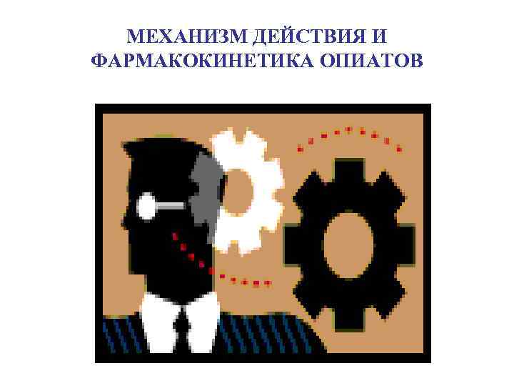  МЕХАНИЗМ ДЕЙСТВИЯ И ФАРМАКОКИНЕТИКА ОПИАТОВ 