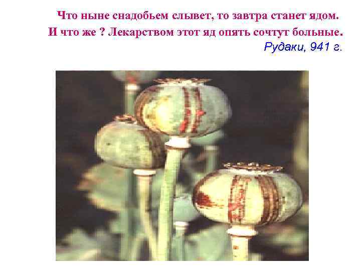  Что ныне снадобьем слывет, то завтра станет ядом.  И что же ?