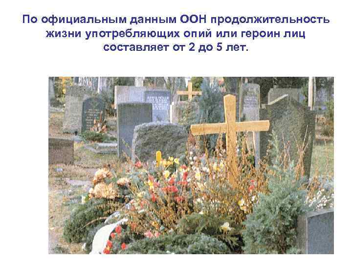 По официальным данным ООН продолжительность жизни употребляющих опий или героин лиц   