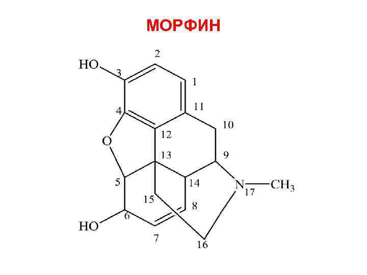МОРФИН 