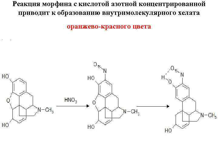   Реакция морфина с кислотой азотной концентрированной  приводит к образованию внутримолекулярного хелата