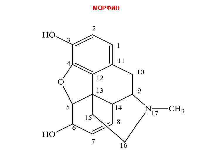 МОРФИН 