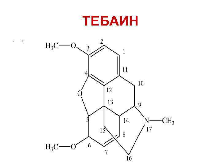   ТЕБАИН  •  1 