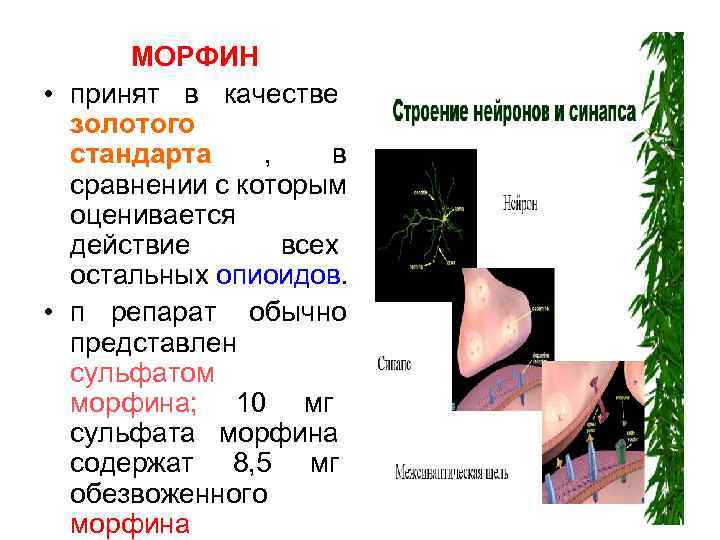  МОРФИН • принят в качестве  золотого  стандарта , в  сравнении