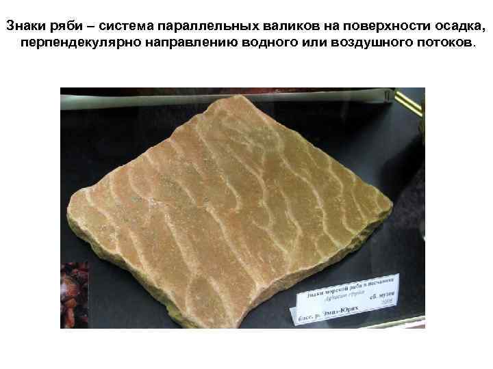 Знаки ряби – система параллельных валиков на поверхности осадка,  перпендекулярно направлению водного или