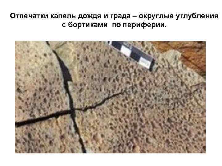 Отпечатки капель дождя и града – округлые углубления   с бортиками по периферии.