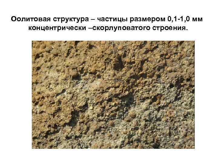 Оолитовая структура – частицы размером 0, 1 -1, 0 мм концентрически –скорлуповатого строения. 