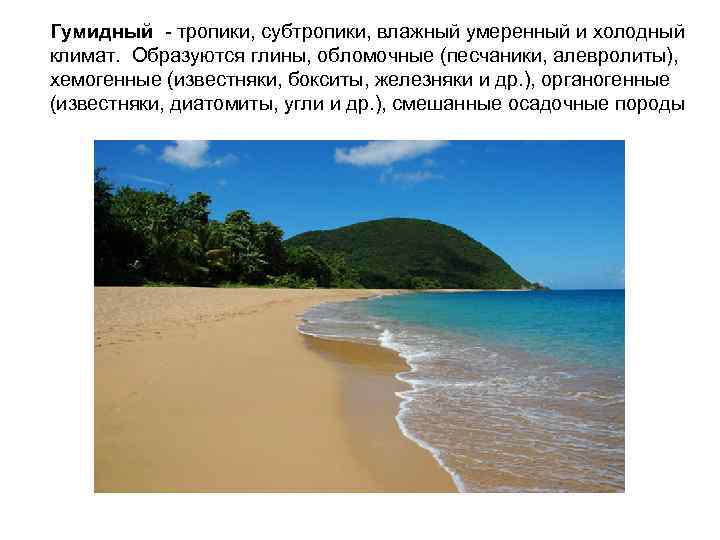 Гумидный - тропики, субтропики, влажный умеренный и холодный климат. Образуются глины, обломочные (песчаники, алевролиты),