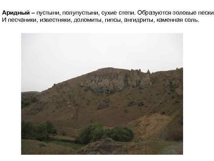 Аридный – пустыни, полупустыни, сухие степи. Образуются эоловые пески И песчаники, известняки, доломиты, гипсы,