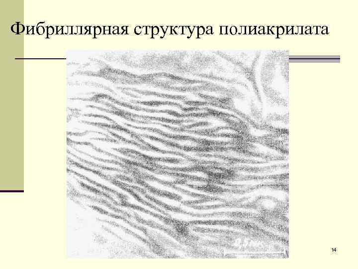 Фибриллярная структура полиакрилата    14 