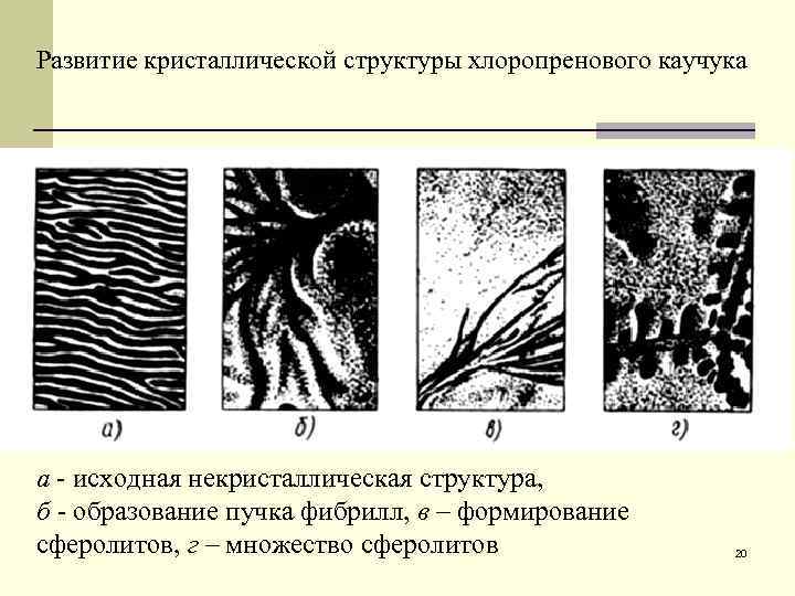 Развитие кристаллической структуры хлоропренового каучука а - исходная некристаллическая структура, б - образование пучка