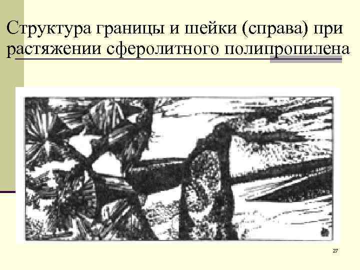 Структура границы и шейки (справа) при растяжении сферолитного полипропилена     