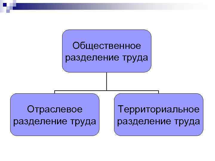 Общественное разделение труда