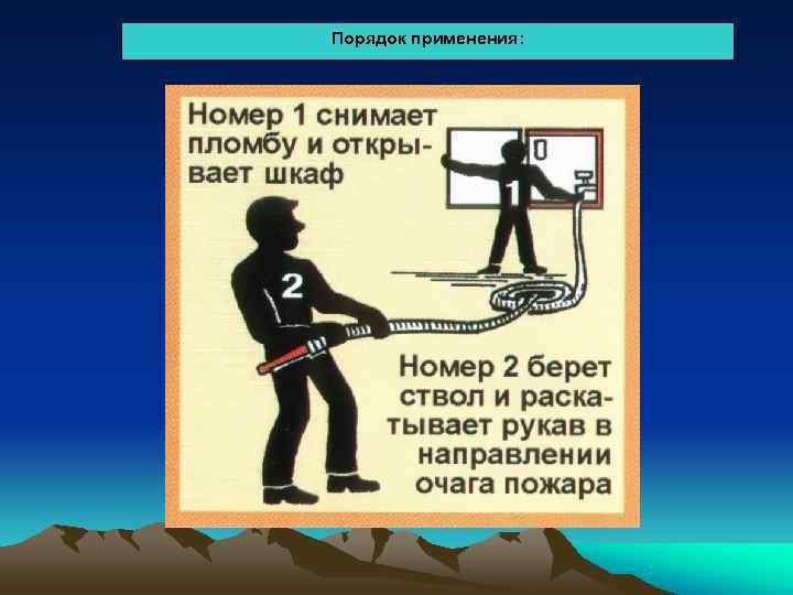 Порядок применения: 