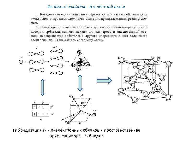     Основные свойства ковалентной связи Гибридизация s- и p- электронных облаков