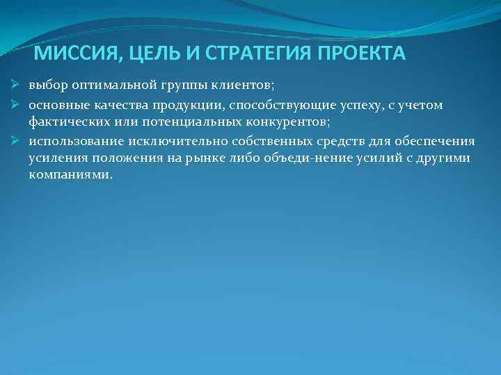 Стратегия проекта