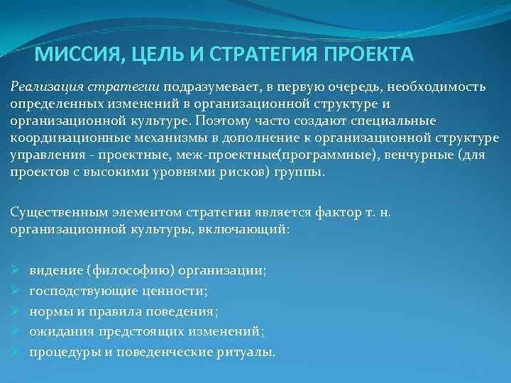 Стратегия проекта