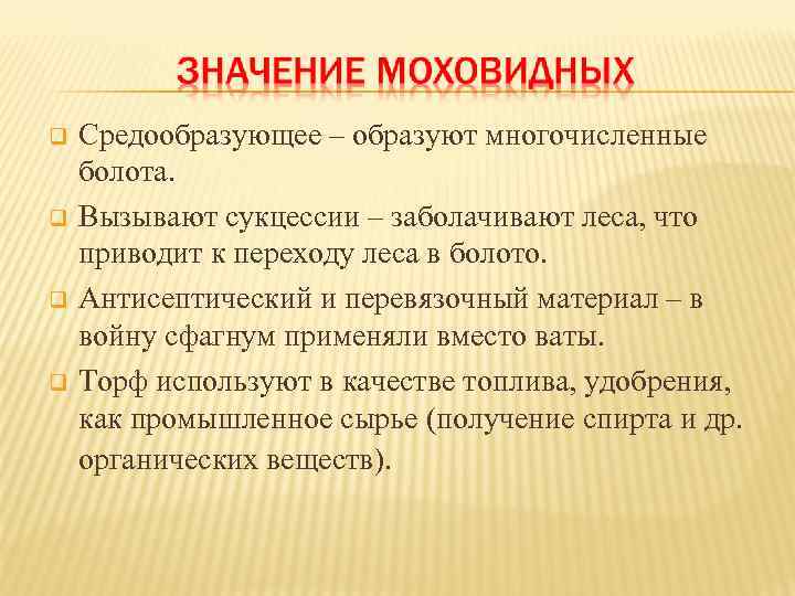   Средообразующее – образуют многочисленные болота. Вызывают сукцессии – заболачивают леса, что приводит