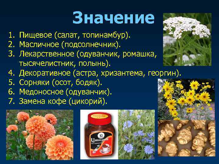     Значение 1. Пищевое (салат, топинамбур). 2. Масличное (подсолнечник). 3. Лекарственное