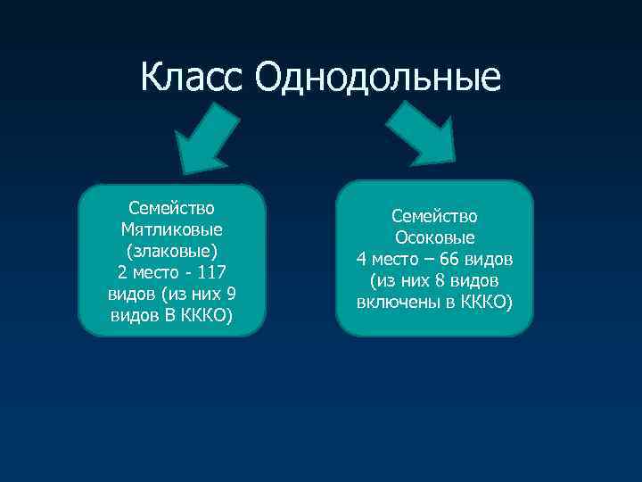   Класс Однодольные Семейство Мятликовые  Осоковые  (злаковые) 4 место – 66