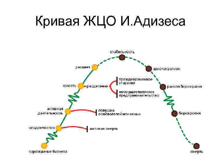 Кривая ЖЦО И. Адизеса 