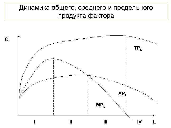   Динамика общего, среднего и предельного    продукта фактора  Q
