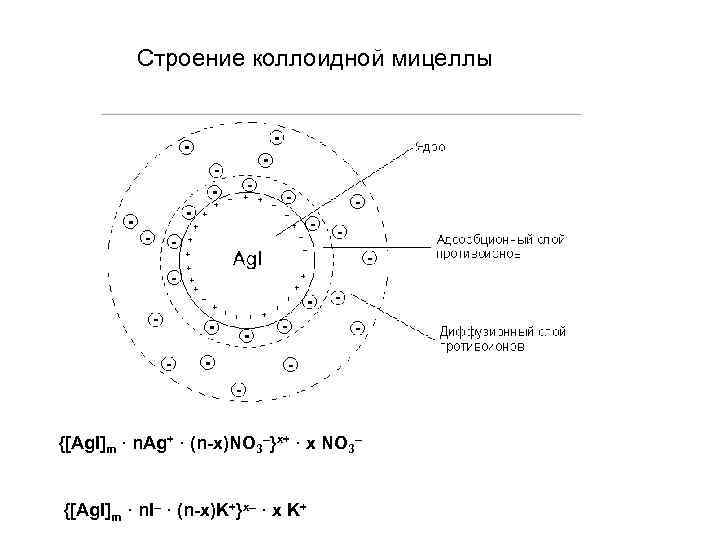 Схема строения мицеллы