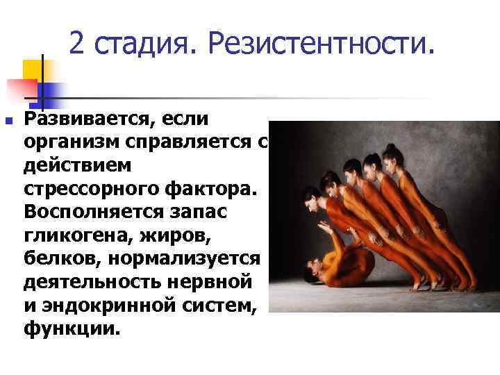   2 стадия. Резистентности.  n  Развивается, если организм справляется с действием