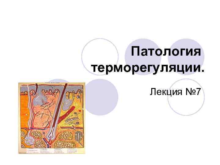 Терморегуляция презентация по патологии