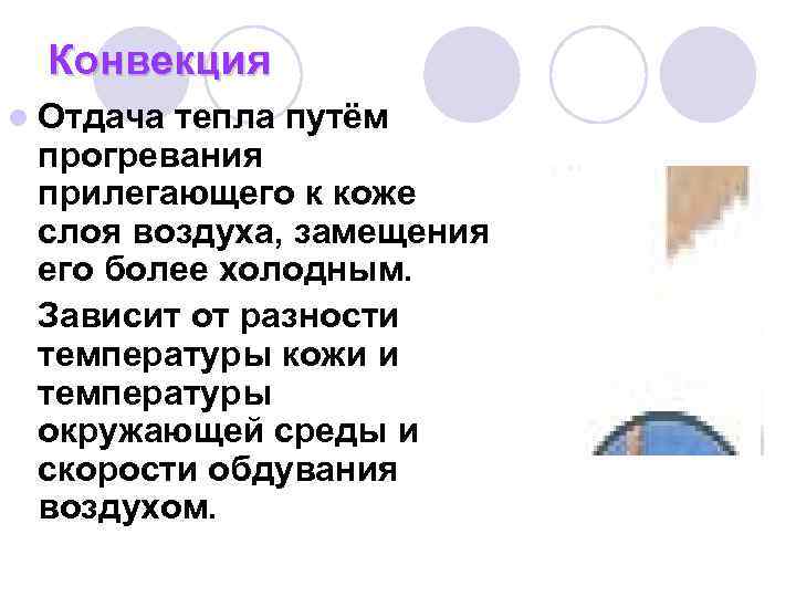 Конвекция l Отдачатепла путём прогревания прилегающего к коже слоя воздуха, замещения его более Конвекция l Отдачатепла путём прогревания прилегающего к коже слоя воздуха, замещения его более