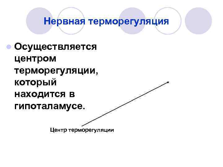 Нервная терморегуляция l Осуществляется центром терморегуляции, который находится в гипоталамусе. Нервная терморегуляция l Осуществляется центром терморегуляции, который находится в гипоталамусе.