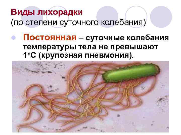 Виды лихорадки (по степени суточного колебания) l Постоянная – суточные колебания температуры тела Виды лихорадки (по степени суточного колебания) l Постоянная – суточные колебания температуры тела