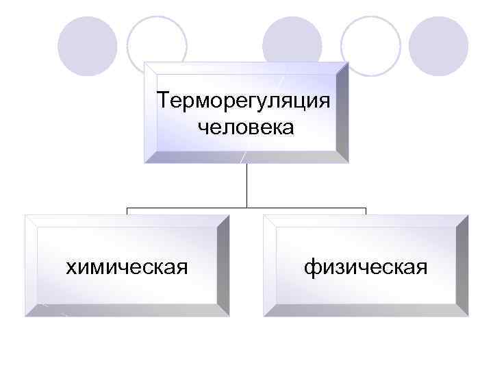 Терморегуляция человека химическая физическая Терморегуляция человека химическая физическая