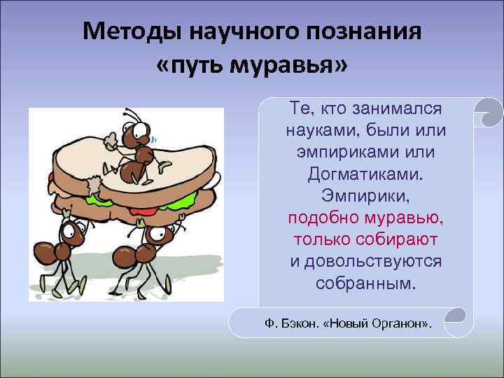 Пути познания. Путь паука путь муравья путь пчелы. Путь муравья по Бэкону. Ф Бэкон 