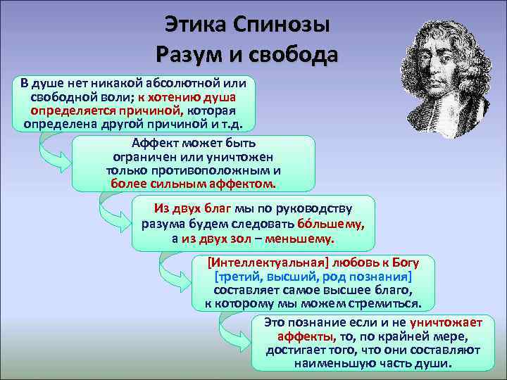 Как вы понимаете слова философа б спинозы