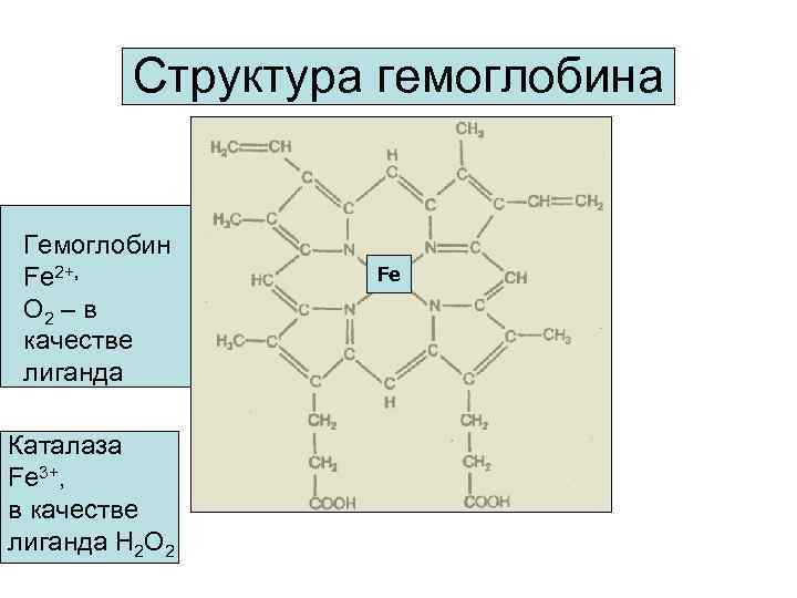   Структура гемоглобина  Гемоглобин Fe 2+,  Fe О 2 – в